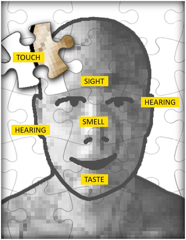 Multi-sensory cues in interplay and congruency in a retal store context: Consumer emotions and purchase behaviors